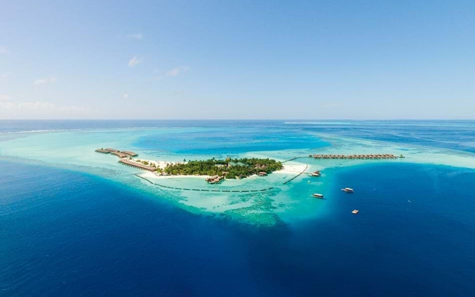 Constance-Moofushi-02