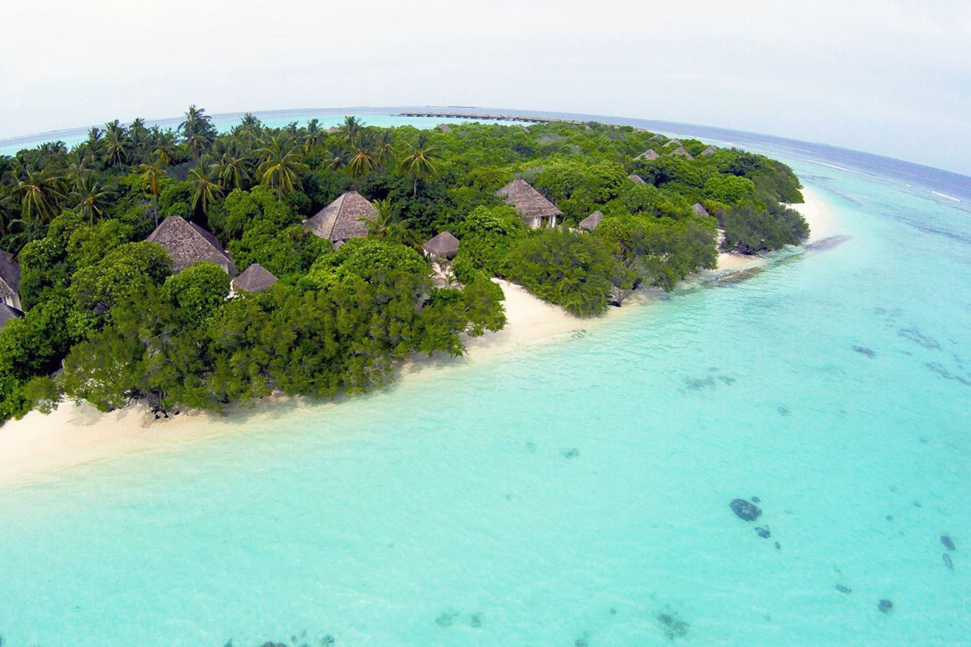 xr:d:DAFHlPZk0Wg:99,j:34157751319,t:22083114