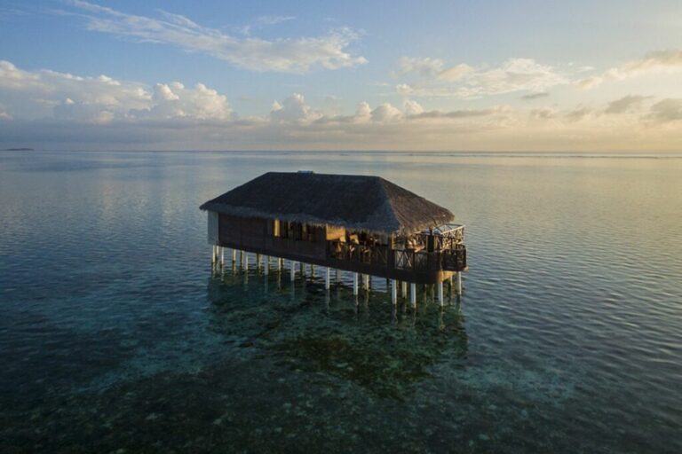 xr:d:DAFHlPZk0Wg:69,j:32960519896,t:22081523