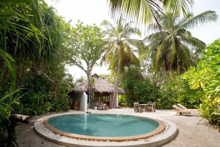 xr:d:DAFHlPZk0Wg:173,j:34949036105,t:22090922