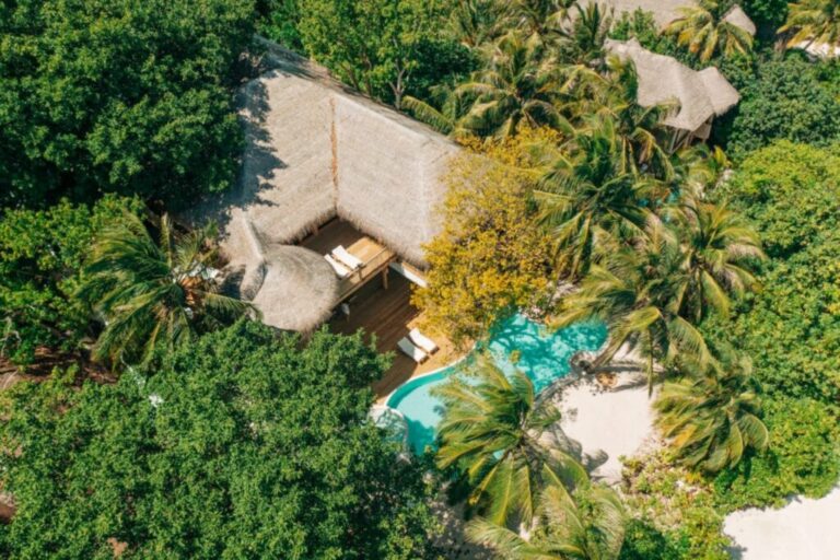 xr:d:DAFHlPZk0Wg:173,j:34949036105,t:22090922