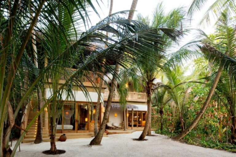 xr:d:DAFHlPZk0Wg:173,j:34949036105,t:22090922