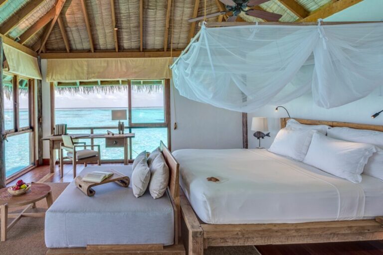 xr:d:DAFHlPZk0Wg:11,j:31589916538,t:22072705